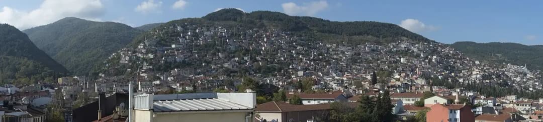 Bursa görünümü