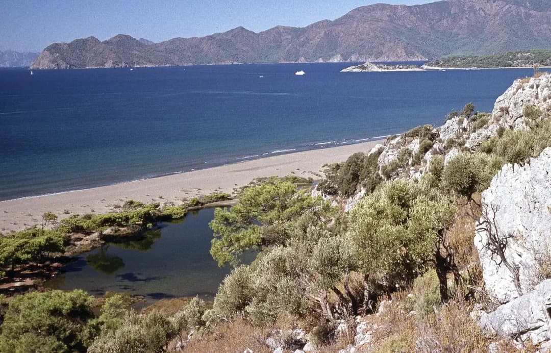 İztuzu Beach and Dalyan: Planning a Turtle-Beach Day
