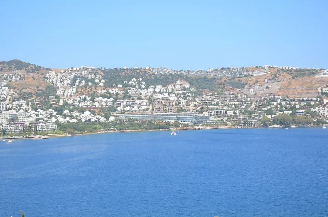 صورة غوندوغان