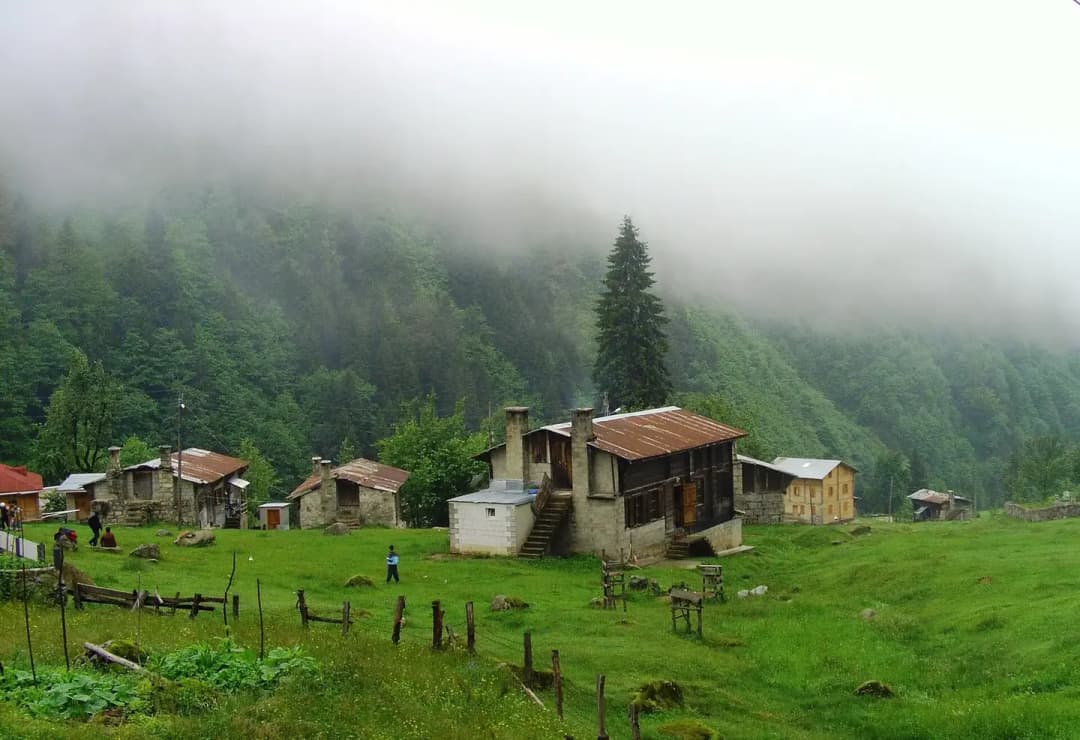 Ayder Plateau Guide: VIP Transfer from Rize-Artvin Airport