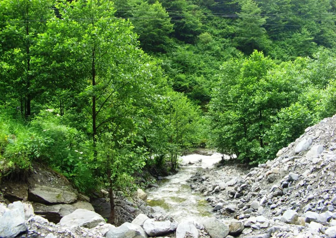 Fırtına Valley Guide: Rafting Tours and Transfer from the Airport
